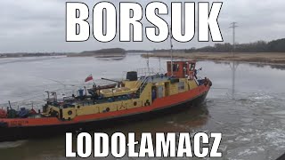 Lodołamacz Borsuk kruszy lód na Odrze w Brzegu Dolnym [upl. by Sissie]