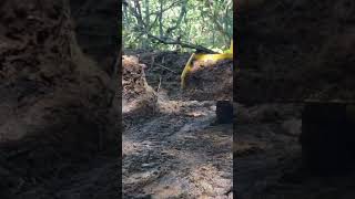 D11 Insane Steep Overlanding course demolition  explore automobile shortvideo ytshorts [upl. by Janot172]