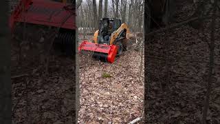 Skid Steer Attachment Forestry Mulcher [upl. by Dugaid]