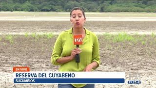 La laguna más grande de la reserva de cuyabeno está completamente seca [upl. by Yelyak]