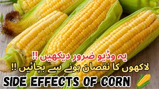 Disadvantage of using Corn 🌽 in Winter  Silent killer of chicks 🐣 birds youtube sabirdsaviary [upl. by Greenquist504]