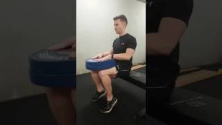 Seated Soleus Calf Raises with Weights [upl. by Benyamin450]