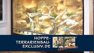 Terrarienkauf Tipps und Anregungen für ein Wüstenterrarium [upl. by Annohsak]