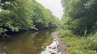 Trotting for grayling in the North East of England [upl. by Merissa]