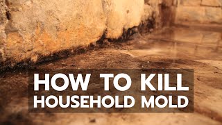 How to Kill Household Mold [upl. by Nosnarb]