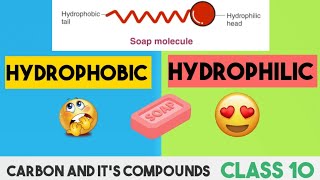 What is Hydrophobic amp HydrophilicCleaning action of Soap micellesClass 10Carbon and Compound [upl. by Nauqet]