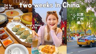 life in china amp everything i ate 🇨🇳 claypot rice 24hr yum cha street food durian pizza etc [upl. by Nneb]