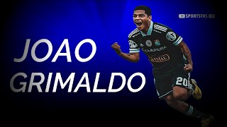 Joao Grimaldo 20 ● Dribbling amp Skills ᴴᴰ [upl. by Itnuahsa]