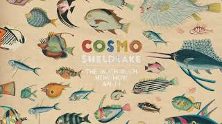 Cosmo Sheldrake  Linger Longer [upl. by Sinnel]