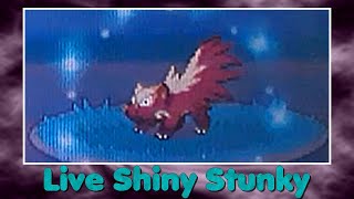 Phase 2Live Shiny Stunky  Moufouette after 7418 RE [upl. by Blackstock529]