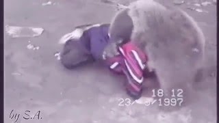 Khabib Nurmagomedov vs Bear [upl. by Balsam]