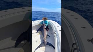 Lucky harpoon shot 😅 swordfish florida harpoon fishing [upl. by Lynden]