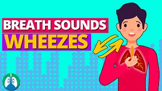 Wheezes Lung Sounds What is Wheezing  Breath Sounds Guide [upl. by Oluas]