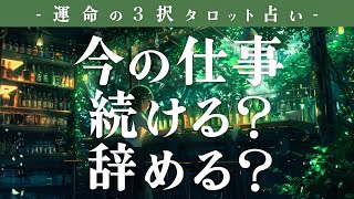 転職のタイミングなど！今の仕事を続ける？辞める？🍸 [upl. by Lattie]