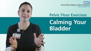 Pelvic Floor Exercises  Using Your Pelvic Floor to Calm Down Your Bladder [upl. by Scopp]