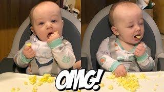 Baby Led Weaning Eggs 6 Month Old Eating Scrambled Eggs [upl. by Inan]