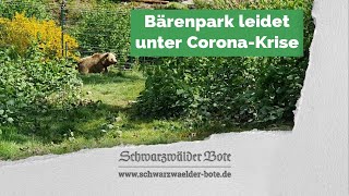 Bärenpark leidet unter CoronaKrise [upl. by Armond]