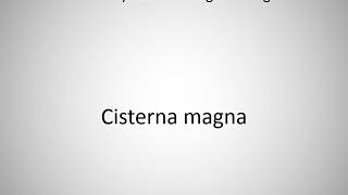 How to say Cisterna magna in English [upl. by Thamora]