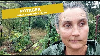 POTAGER début septembre  comment estil  Questce que je PLANTE  potagerbio [upl. by Binette505]