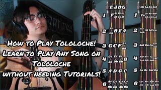 Tololoche 101 The Basics to Play Any Song On Tolo Learning the Notes Root 5th and Octave [upl. by Nerrawed]