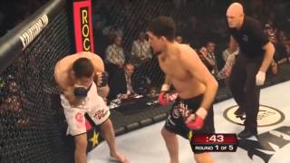 NICK DIAZ  warrior Win or Lose TRIBUTE Part 3 [upl. by Dorena]