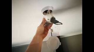 LED Downlight installation and replacement [upl. by Yetty701]