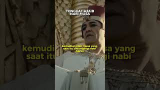 Peninggalan Tongkat Nabi Musa Yang Ajaib feedshorts [upl. by Veradia]