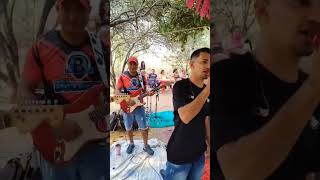 Os Bacanas  Ao Vivo No Bailão shorts [upl. by Jedthus869]