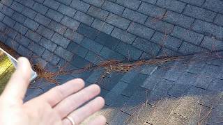 Proper Valley Repair  Sharpe Roofing University [upl. by Etnoval]