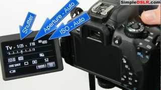 How to Use a DSLR Camera Learn DSLR Camera Basics Shutter Aperture ISO [upl. by Arammahs556]