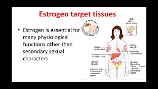 Basics of Breast cancer HORMONAL therapy By Dr Loay Kassem [upl. by Yenar]