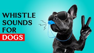 Whistle sounds for Dogs  Dog Whistle Sound to Call Your Dog [upl. by Ramalahs]