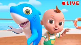 Baby Shark  more Nursery Rhymes  Beep Beep Nursery Rhymes amp Baby Songs [upl. by Adriano490]