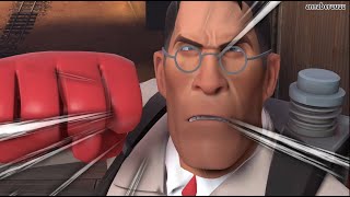 SFM Meleeing a Medic be like [upl. by Eceertal]