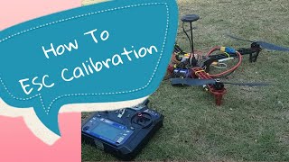 how to calibrate esc on dji naza m lite esc calibration [upl. by Columbine905]