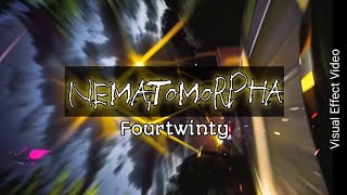 Nematomorpha  fourtwnty  Visual effect video [upl. by Maren302]