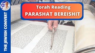 PARASHAT BEREISHIT  Weekly Torah Reading in Hebrew amp English Translation  TORAH STUDY [upl. by Anastase]