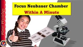 Focus Neubauer Chamber Within a Minute [upl. by Ennasus]