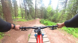 Womp Rat  Valemount Bike Park [upl. by Omari326]