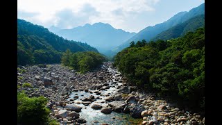 a swamp ＆ nature sounds 7×2 minutes nature riversounds river mountains [upl. by Coffeng]