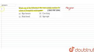 Which one of the followingt is the most suitable medium for culture of Drosophila melanogaster [upl. by Aicnatsnoc]