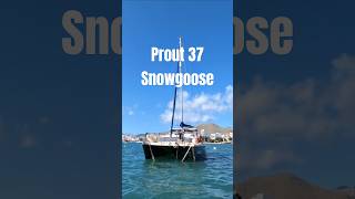 Prout 37 Snowgoose Sailing Catamaran for Sale [upl. by Eleanor]