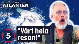 MAGISKT när valar besöker besättningen  Över Atlanten  Kanal 5 Sverige [upl. by Orren]