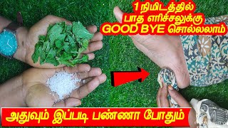 2 பொருள் போதும் பாத எரிச்சல் குறைந்துவிடும்  patha erichal treatment in tamil  health tips tamil [upl. by Aiciled]