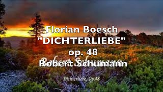 Florian Boesch quotDICHTERLIEBEquot op 48 Robert Schumann [upl. by Kcirdled]