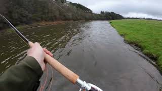 Mikael Frodin Salar Rods and Reels on the Tweed at TWEEDSWOOD [upl. by Sallyann]