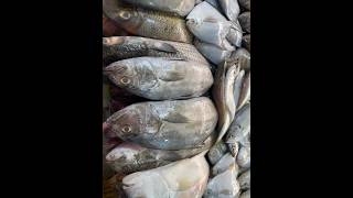 Sagar fish belathur Kadugodi shorts viralvideo food trending sea fishingfood instagram [upl. by Notlil]