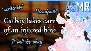 Furry ASMR 💙 Taking care of an injured birb ScritchiesCareReassurance [upl. by Iarised]