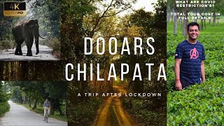 Chilapata Forest  Dooars  Chilapata post lockdown  Dooars tour  Chilapata tour  Hopping Miles [upl. by Alenson]