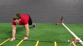 Agility Ladder Upper and Lower Body Circuit Training  Speed Performance [upl. by Naval842]